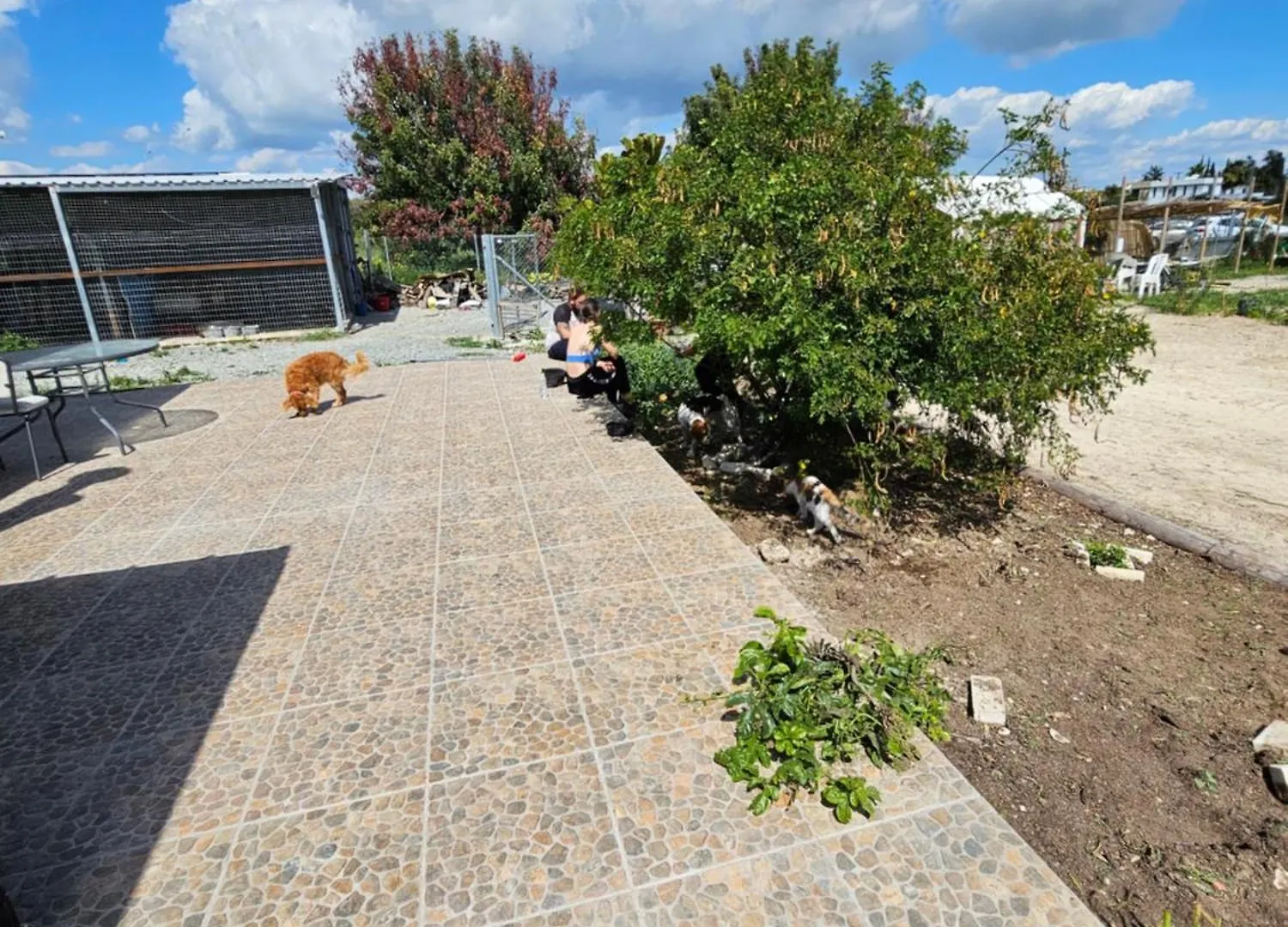 Farm stay Farm House Aradippou Villa Aradhippou