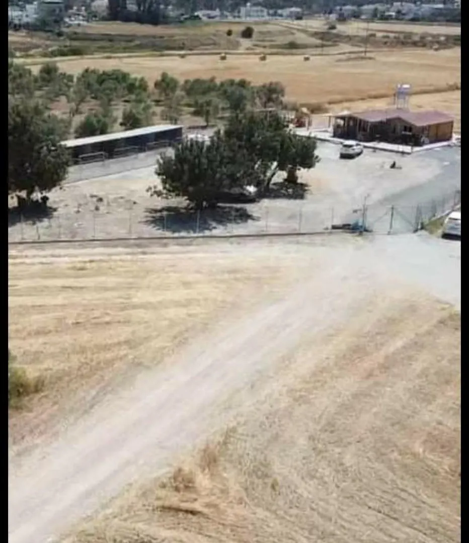 Farm stay Farm House Aradippou Villa Aradhippou Cyprus